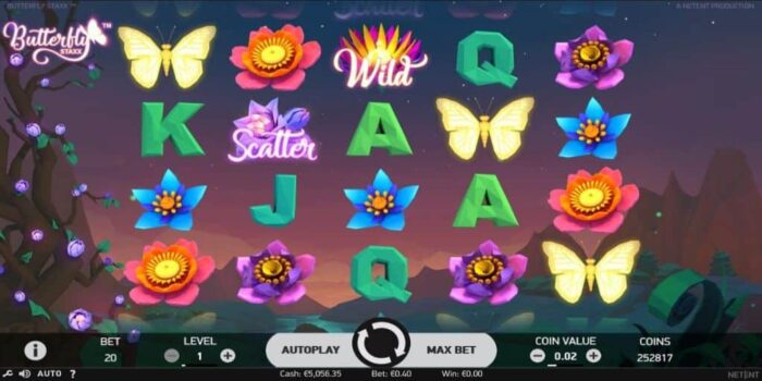 butterfly staxx 2 500 €