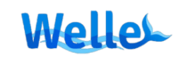 Welle