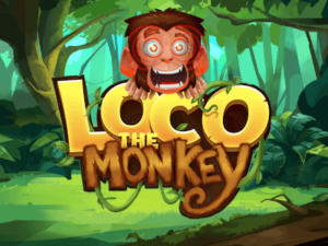 Loco the Monkey