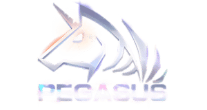 Pegasus