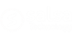 Salsa Technology